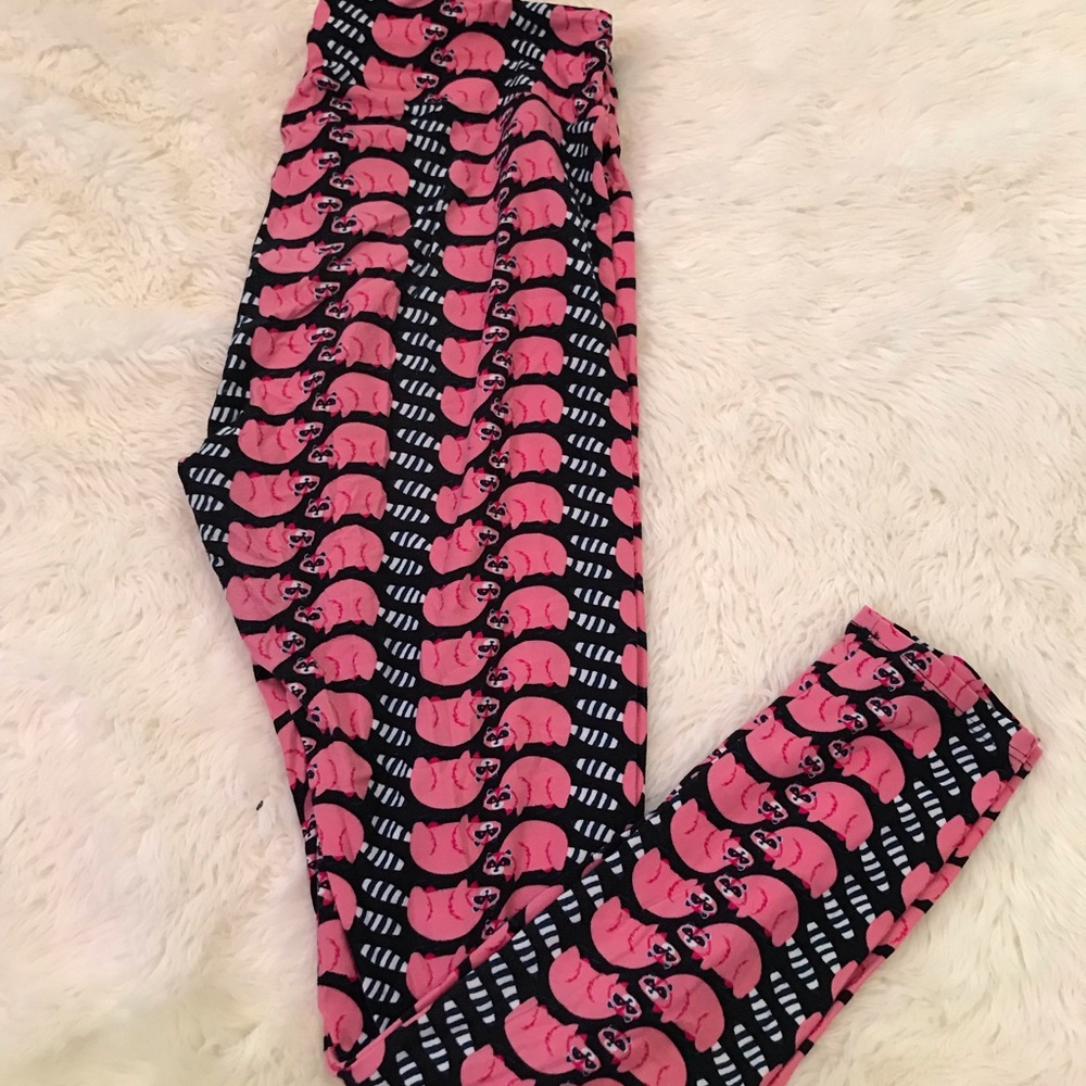 LulaRoe leggings with raccoons Tall and Curvy